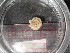  (Argulus catostomi - ZOOPS_0456)  @11 [ ] CreativeCommons - Attribution Non-Commercial No Derivatives (2019) Christopher Marhsall Cornell University