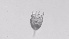  ( - ZOOPS_0505)  @11 [ ] BY-NC-ND (2019) Joe Connolly Cornell University