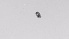  ( - ZOOPS_0527)  @11 [ ] BY-NC-ND (2019) Joe Connolly Cornell University