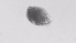  ( - ZOOPS_0538)  @11 [ ] BY-NC-ND (2019) Joe Connolly Cornell University