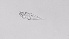  ( - ZOOPS_0551)  @11 [ ] BY-NC-ND (2019) Joe Connolly Cornell University