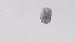  ( - ZOOPS_0568)  @11 [ ] BY-NC-ND (2019) Joe Connolly Cornell University