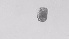  ( - ZOOPS_0568)  @11 [ ] BY-NC-ND (2019) Joe Connolly Cornell University