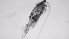  ( - ZOOPS_0634)  @11 [ ] BY-NC-ND (2019) Joe Connolly Cornell University