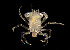  ( - CCDB-19281 F04)  @11 [ ] Unspecified (default): All Rights Reserved (2020) Peter J. Bryant University of California, Irvine