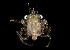  ( - CCDB-19281 F07)  @11 [ ] Unspecified (default): All Rights Reserved (2020) Peter J. Bryant University of California, Irvine