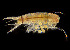  ( - BIOUG19282-C05)  @12 [ ] CreativeCommons - Attribution Non-Commercial Share-Alike (2015) Peter Bryant University of California, Developmental Biology Center