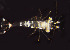  ( - BIOUG19282-H07)  @12 [ ] CreativeCommons - Attribution Non-Commercial Share-Alike (2015) Peter Bryant University of California, Developmental Biology Center