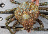  ( - BIOUG19287 A09)  @11 [ ] Unspecified (default): All Rights Reserved (2020) Peter J. Bryant University of California, Irvine