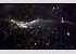  ( - BIOUG19287 E08)  @11 [ ] Unspecified (default): All Rights Reserved (2020) Peter J. Bryant University of California, Irvine
