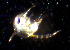  ( - BIOUG19287 E11)  @11 [ ] Unspecified (default): All Rights Reserved (2020) Peter J. Bryant University of California, Irvine