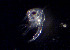  ( - BIOUG19287 F05)  @11 [ ] Unspecified (default): All Rights Reserved (2020) Peter J. Bryant University of California, Irvine