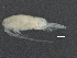  ( - BIOUG01207-E02)  @13 [ ] CreativeCommons - Attribution (2013) CBG Photography Group Centre for Biodiversity Genomics