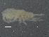  ( - BIOUG01207-E11)  @13 [ ] CreativeCommons - Attribution (2013) CBG Photography Group Centre for Biodiversity Genomics