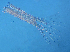  ( - HE-058)  @13 [ ] CreativeCommons - Attribution Non-Commercial Share-Alike (2013) Anna Zapata El Colegio de la Frontera Sur
