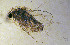  ( - ZMXII-087)  @12 [ ] CreativeCommons - Attribution Non-Commercial (2007) Manuel Elias Gutierrez Unspecified