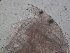 ( - HE-467)  @12 [ ] Copyright (2012) Unspecified Unspecified