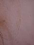  ( - ZPLMX135)  @12 [ ] Unspecified (default): All Rights Reserved  Unspecified Unspecified