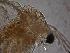  ( - ZPLMX163)  @13 [ ] Unspecified (default): All Rights Reserved  Unspecified Unspecified