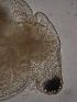  ( - ZPLMX104)  @13 [ ] Unspecified (default): All Rights Reserved  Unspecified Unspecified