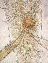  ( - ZPLMX226)  @14 [ ] Unspecified (default): All Rights Reserved  Unspecified Unspecified