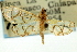  (Pseudopyrausta acutangulalis - CNCLEP00088798)  @11 [ ] CreativeCommons - Attribution Non-Commercial Share-Alike (2011) Jean-Francois Landry, CNC and Zhaofu Yang, BIO Canadian National Collections