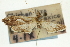  ( - CNCLEP00089333)  @11 [ ] CreativeCommons - Attribution Non-Commercial Share-Alike (2011) Jean-Francois Landry, CNC and Zhaofu Yang, BIO Canadian National Collections