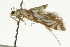  ( - CNCLEP00087638)  @13 [ ] CreativeCommons - Attribution (2011) CNC/CBG Photography Group Centre for Biodiversity Genomics