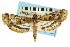  ( - CNCLEP00087693)  @13 [ ] CreativeCommons - Attribution (2011) CNC/CBG Photography Group Centre for Biodiversity Genomics