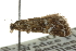  ( - CNCLEP00087791)  @13 [ ] CreativeCommons - Attribution (2011) CNC/CBG Photography Group Centre for Biodiversity Genomics