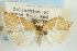  ( - CNCLEP00087994)  @11 [ ] CreativeCommons - Attribution Non-Commercial Share-Alike (2011) Jean-Francois Landry, CNC and Zhaofu Yang, BIO Canadian National Collections
