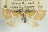  ( - CNCLEP00087995)  @11 [ ] CreativeCommons - Attribution Non-Commercial Share-Alike (2011) Jean-Francois Landry, CNC and Zhaofu Yang, BIO Canadian National Collections