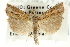  ( - CNCLEP00088515)  @12 [ ] CreativeCommons - Attribution Non-Commercial Share-Alike (2011) Jean-Francois Landry, CNC and Zhaofu Yang, BIO Canadian National Collections