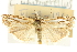  ( - CNCLEP00088643)  @14 [ ] CreativeCommons - Attribution Non-Commercial Share-Alike (2011) Jean-Francois Landry, CNC and Zhaofu Yang, BIO Canadian National Collections