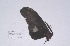  ( - ChChG#pap#002)  @12 [ ] Unspecified (default): All Rights Reserved  Unspecified Unspecified