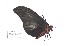  ( - ChChG#pap#003)  @12 [ ] Unspecified (default): All Rights Reserved  Unspecified Unspecified