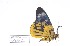  ( - ChChPs#eus#002)  @12 [ ] Unspecified (default): All Rights Reserved  Unspecified Unspecified