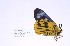  ( - ChChPs#eus#003)  @12 [ ] Unspecified (default): All Rights Reserved  Unspecified Unspecified