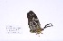  ( - ChAgCo#mac#002)  @12 [ ] Unspecified (default): All Rights Reserved  Unspecified Unspecified