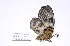  ( - ChAgPh#bas#002)  @12 [ ] Unspecified (default): All Rights Reserved  Unspecified Unspecified
