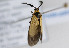  ( - PPNf#rat#003)  @12 [ ] No Rights Reserved  Unspecified Unspecified
