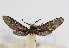  ( - PPSty#cir#001)  @12 [ ] No Rights Reserved  Unspecified Unspecified