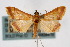  ( - CNCLEP00074494)  @15 [ ] CreativeCommons - Attribution Non-Commercial Share-Alike (2010) Jean-Francois Landry, Canadian National Collections Canadian National Collections