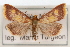  ( - CNCLEP00074566)  @14 [ ] CreativeCommons - Attribution Non-Commercial Share-Alike (2010) Jean-Francois Landry, Canadian National Collections Canadian National Collections