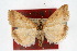  ( - CNCLEP00074572)  @11 [ ] CreativeCommons - Attribution Non-Commercial Share-Alike (2010) Jean-Francois Landry, Canadian National Collections Canadian National Collections