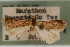 (Loxostegopsis sp. 3ZY - CNCLEP00074722)  @11 [ ] CreativeCommons - Attribution Non-Commercial Share-Alike (2010) Jean-Francois Landry, CNC and Zhaofu Yang, BIO Canadian National Collections
