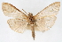  ( - CNCLEP00075006)  @11 [ ] CreativeCommons - Attribution Non-Commercial Share-Alike (2010) Jean-Francois Landry, CNC and Zhaofu Yang, BIO Canadian National Collections