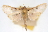  ( - CNCLEP00075016)  @11 [ ] CreativeCommons - Attribution Non-Commercial Share-Alike (2010) Jean-Francois Landry, CNC and Zhaofu Yang, BIO Canadian National Collections